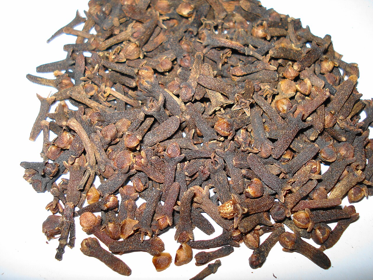 Standard Whole Cloves (CG3 Cleaned Grade)