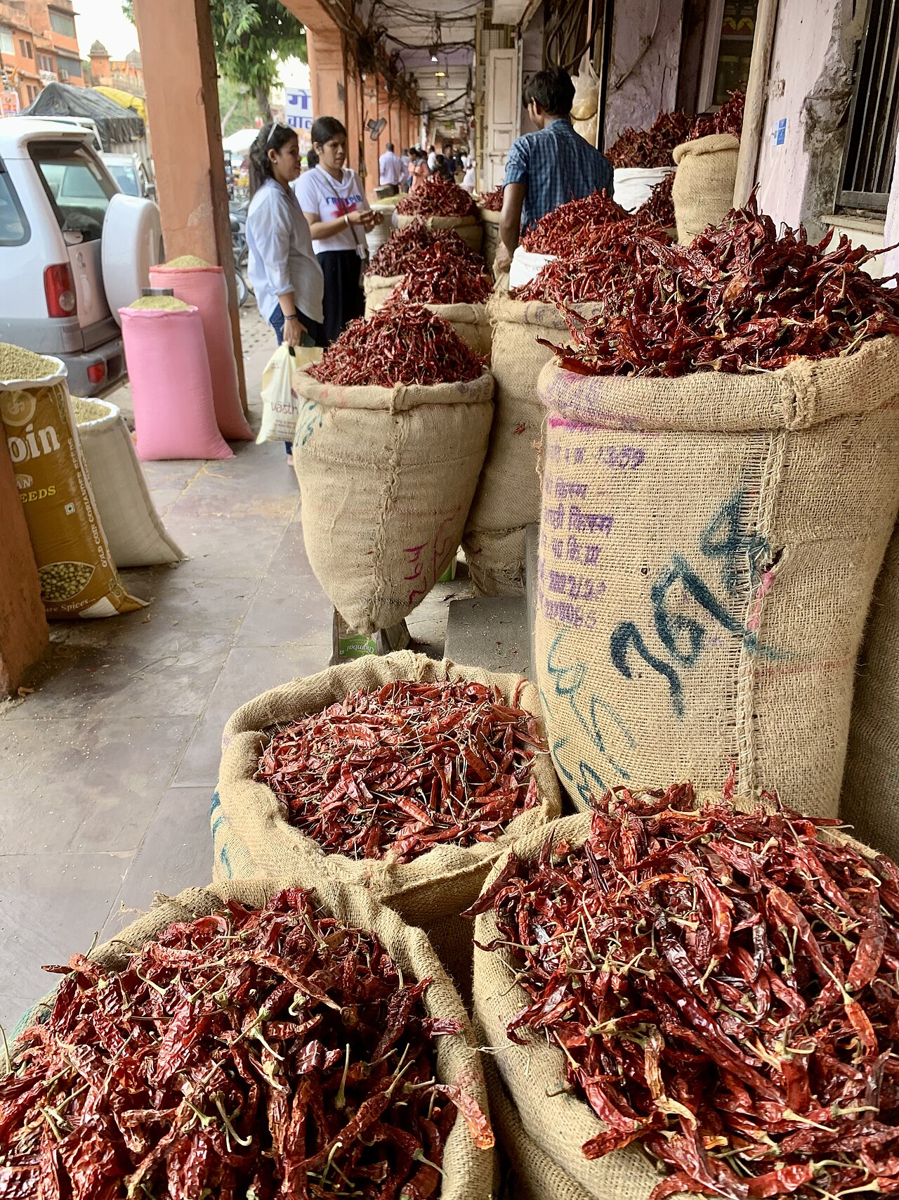 Teja S17 Red Chilli (With Stem)