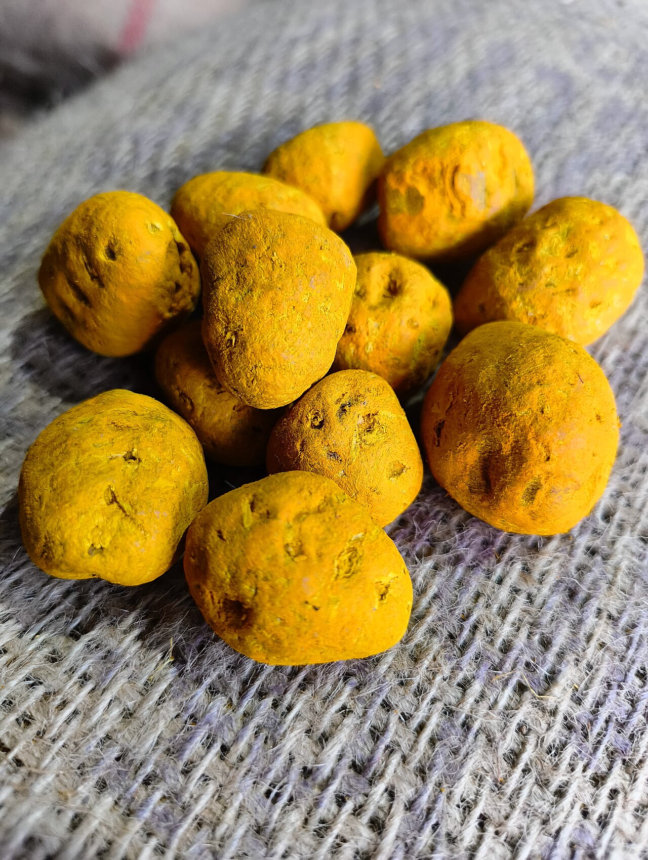 Turmeric Bulbs / Gathha (Mother Rhizomes)
