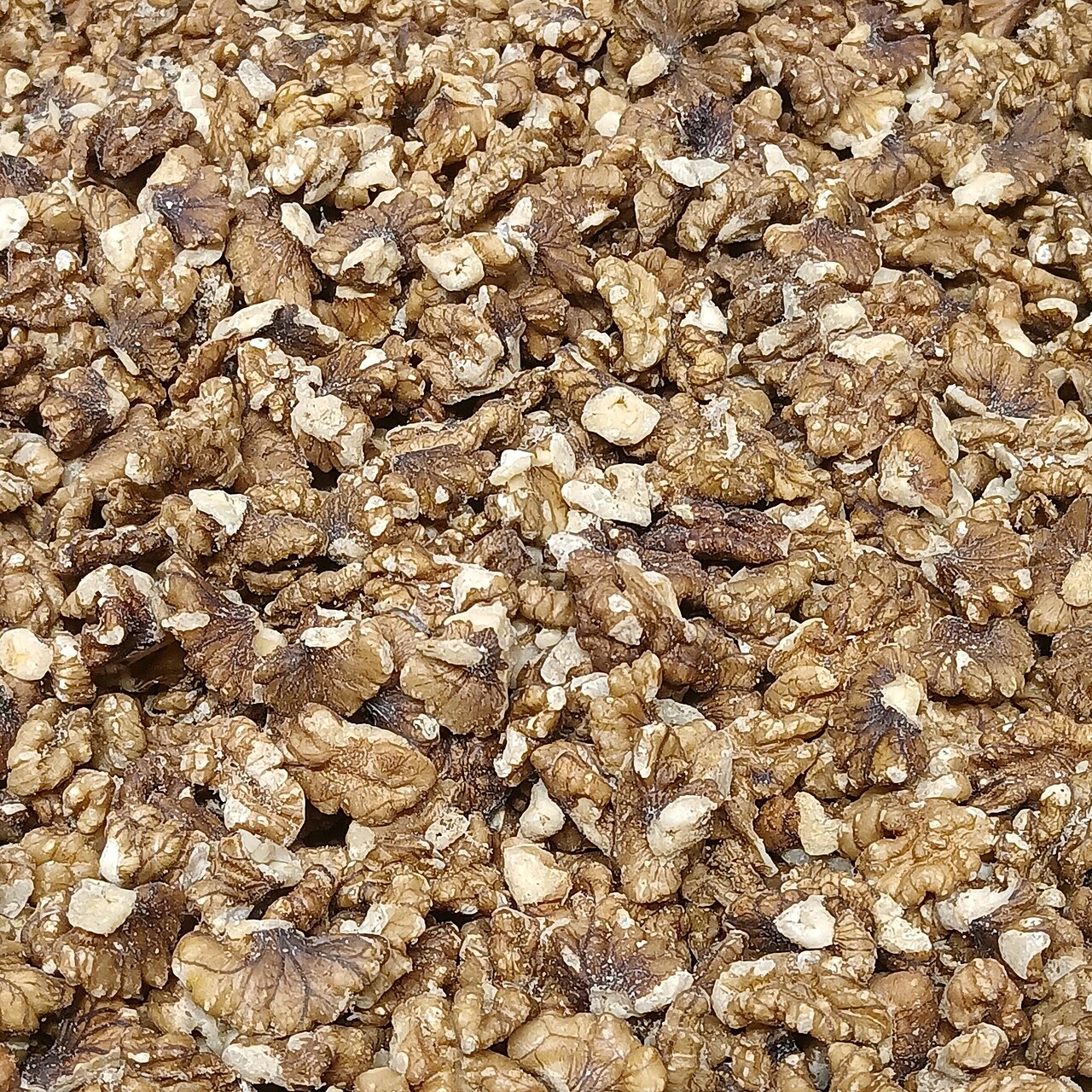 Walnut Kernels Amber Pieces (B2B Industrial)