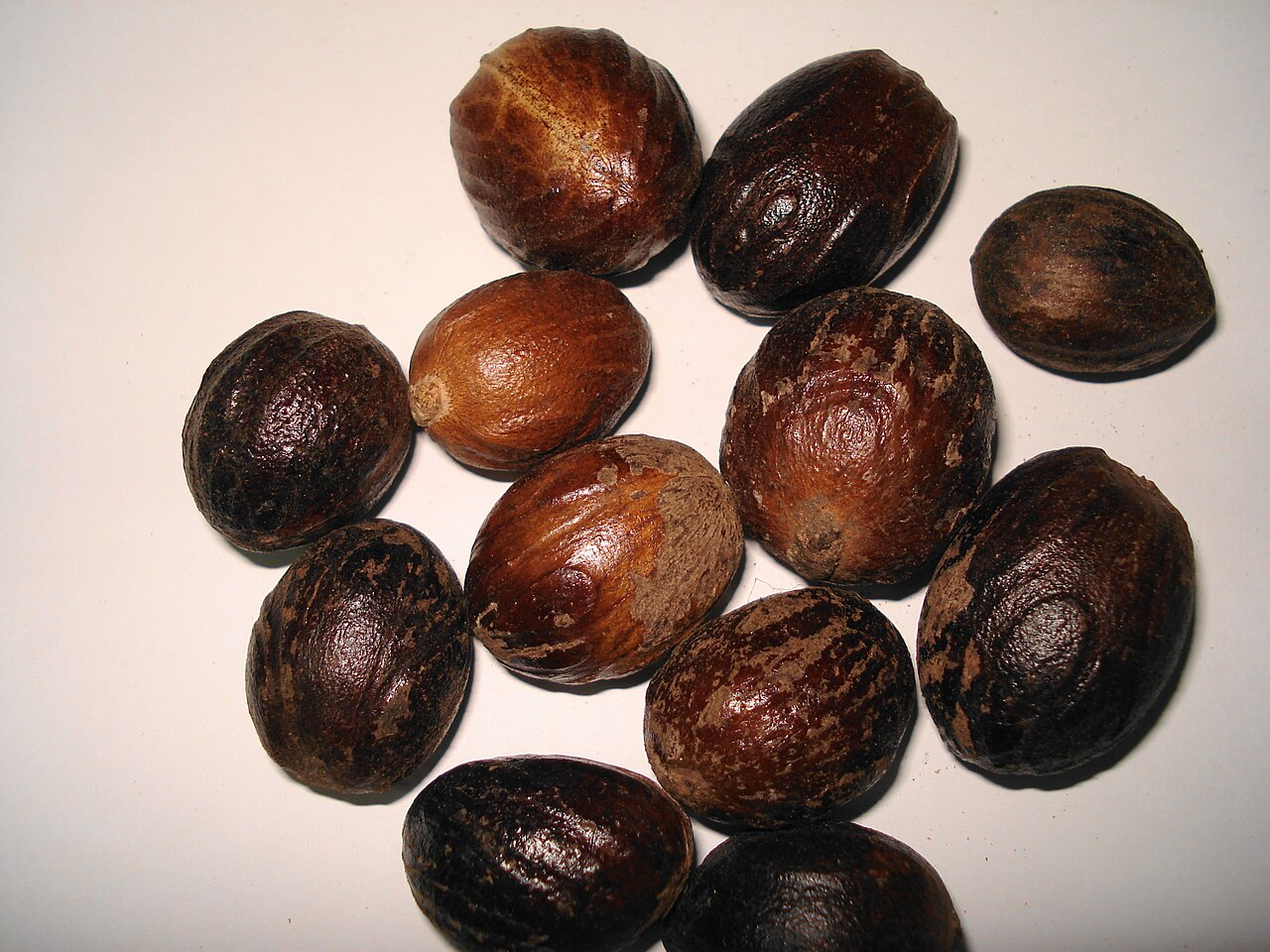 Whole Nutmeg Kernels without Shell (Sound ABCD)
