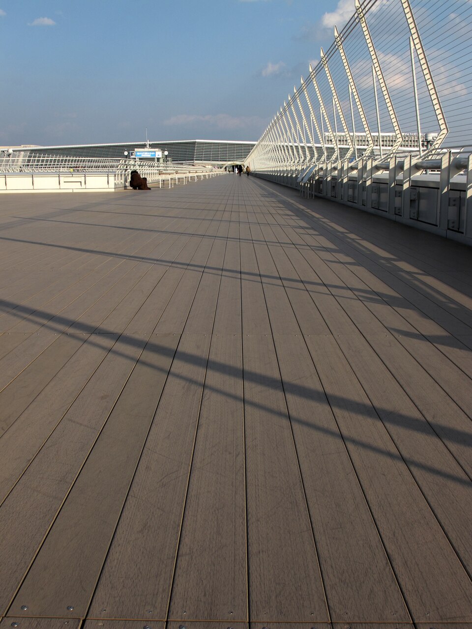 WPC Exterior Solid Decking Planks (Heavy Commercial)