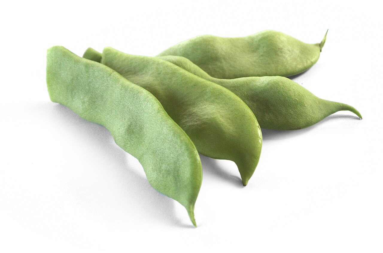 Yardlong Beans / Barbati / Cowpea Pods