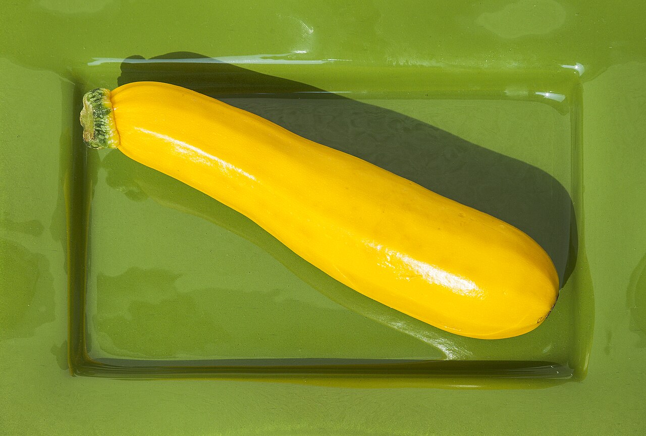 Zucchini Green (Greenhouse Cylindrical)